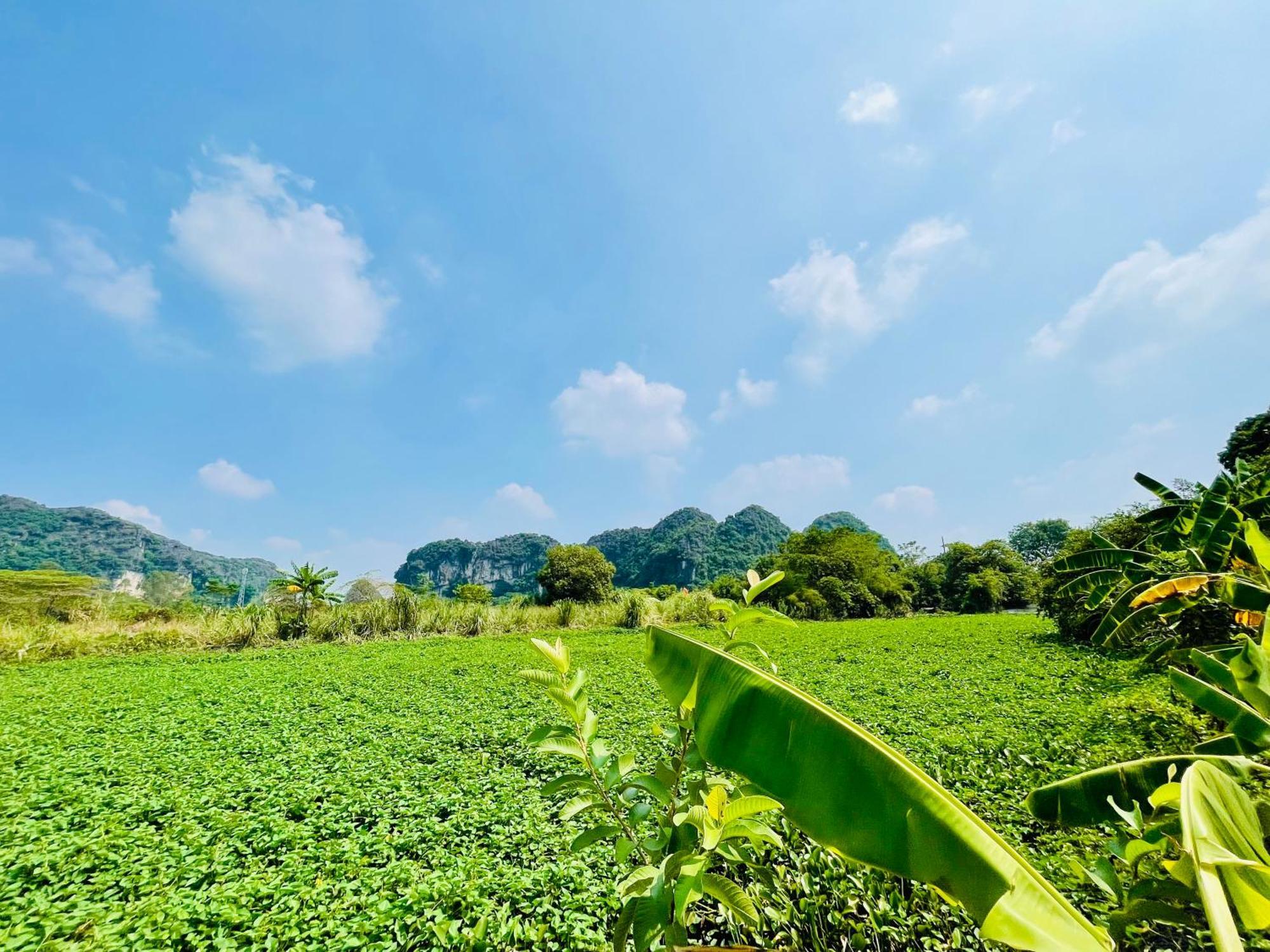 Trang An Lotus Lake Homestay Ninh Binh Exterior photo