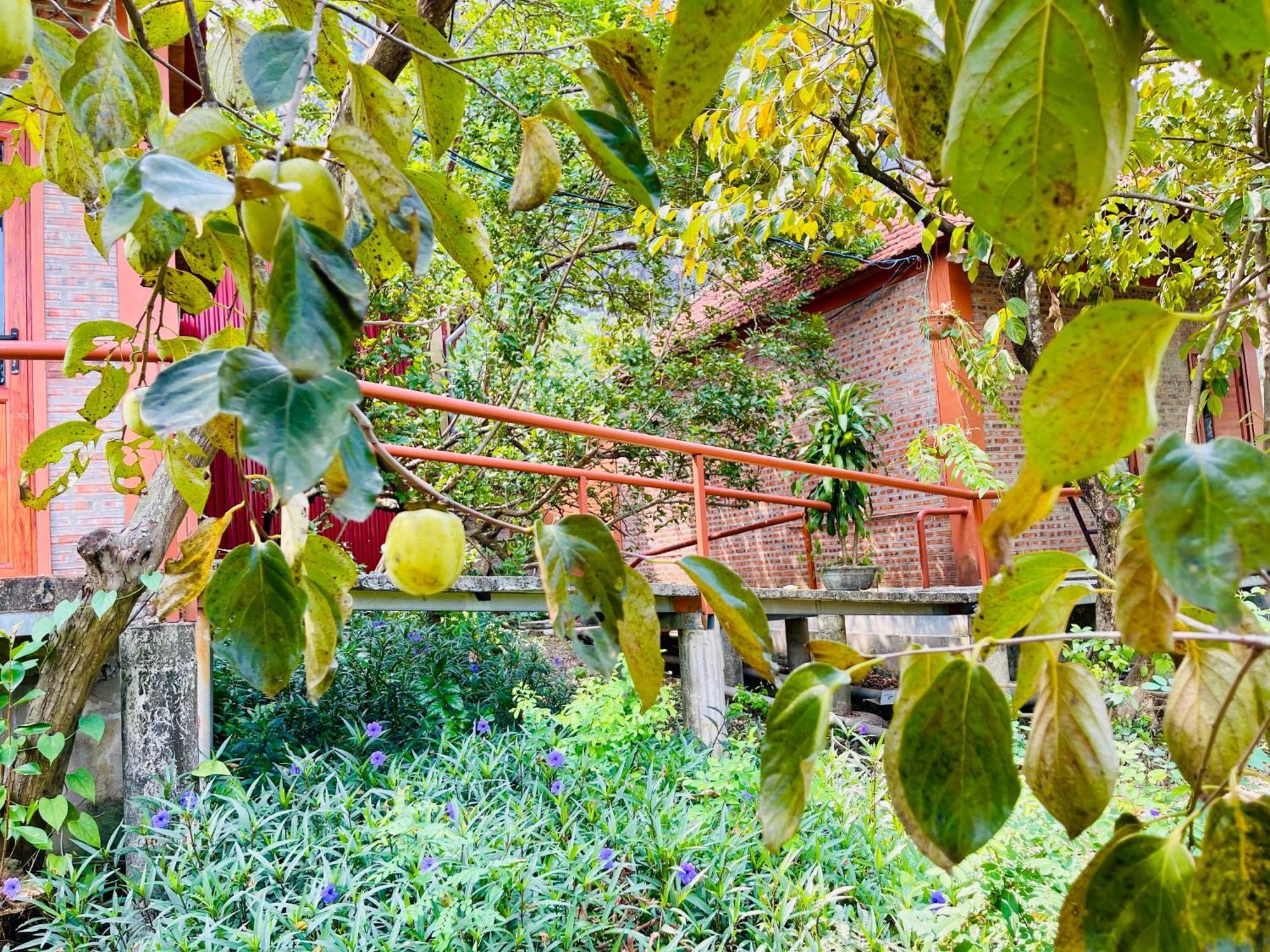 Trang An Lotus Lake Homestay Ninh Binh Exterior photo