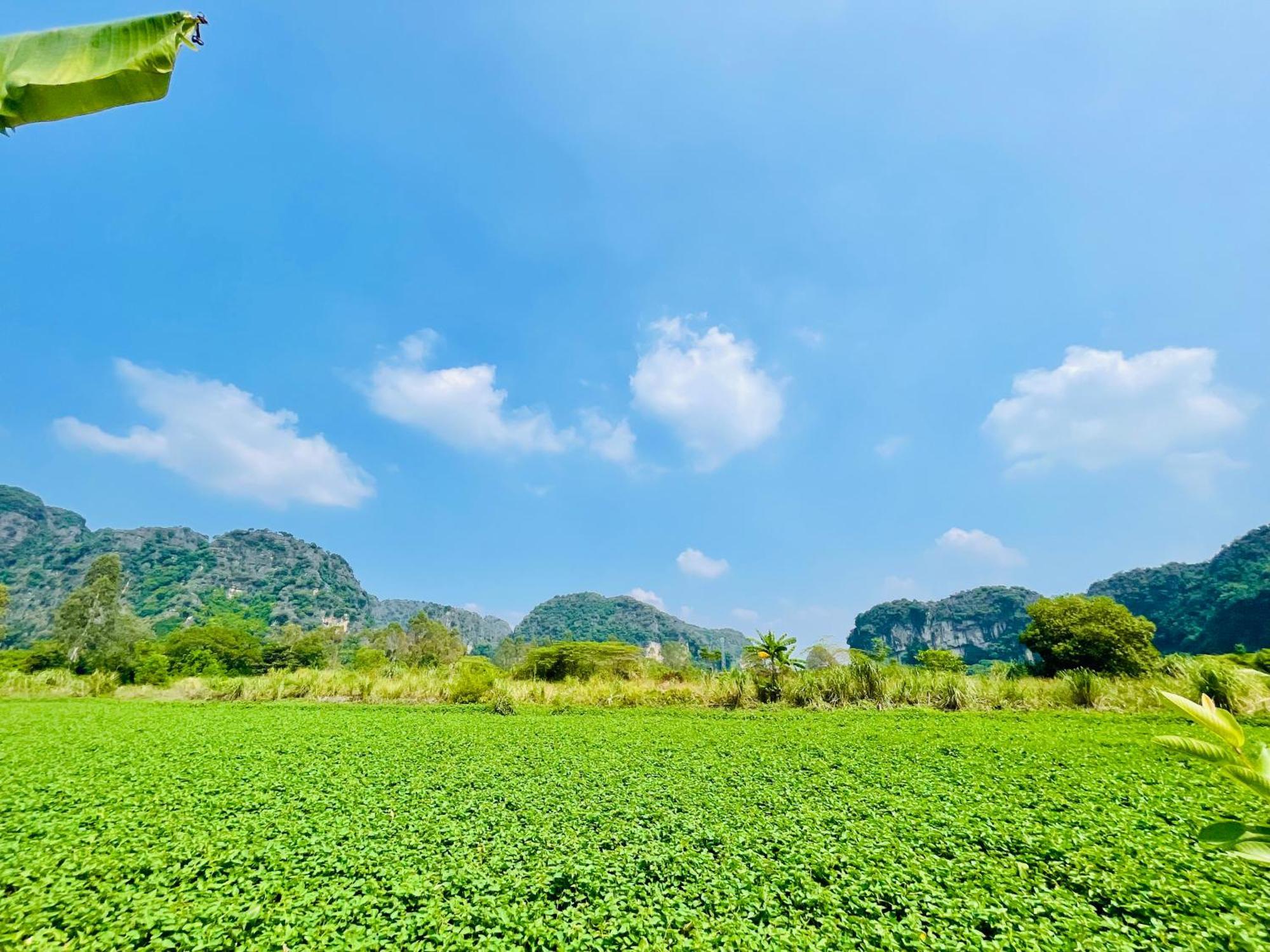 Trang An Lotus Lake Homestay Ninh Binh Exterior photo