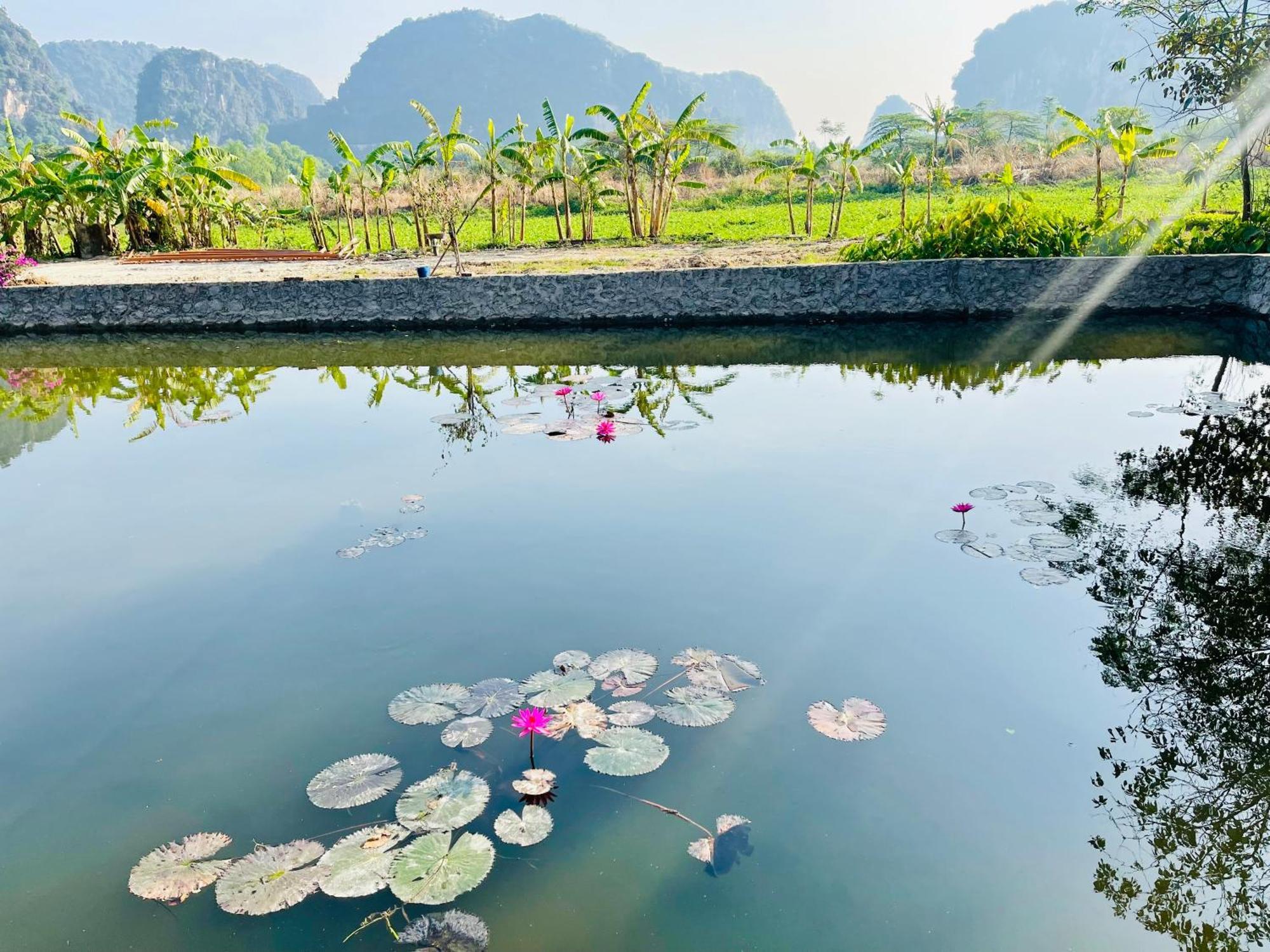 Trang An Lotus Lake Homestay Ninh Binh Exterior photo